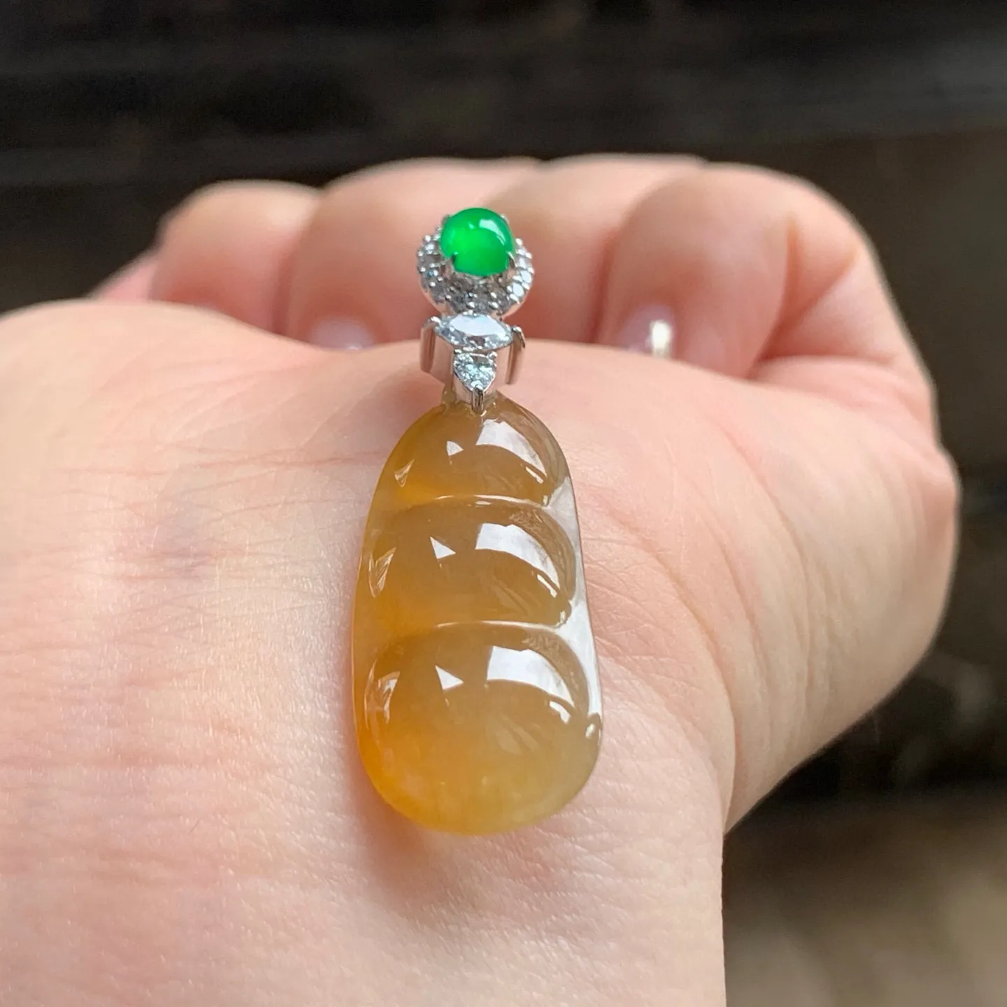冰黄福豆
金扣 独特