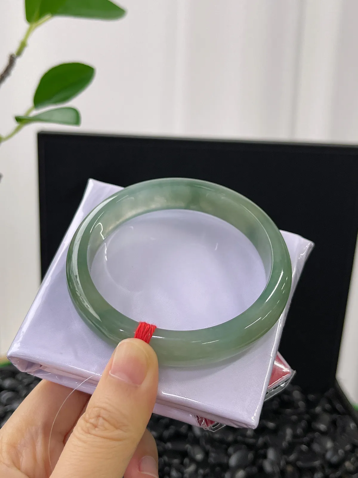 正圈58.4圈口，冰糯种水草绿
