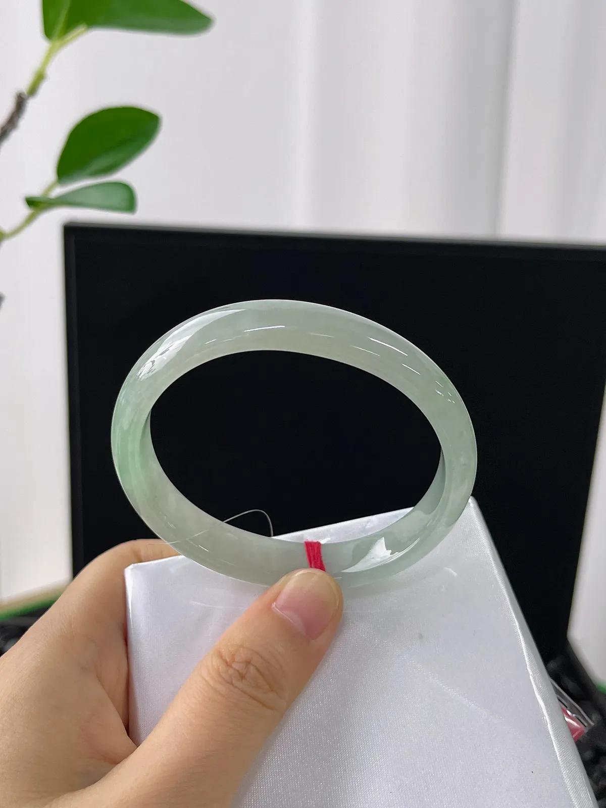 贵妃镯55.6圈口，翡翠冰糯种飘绿手镯