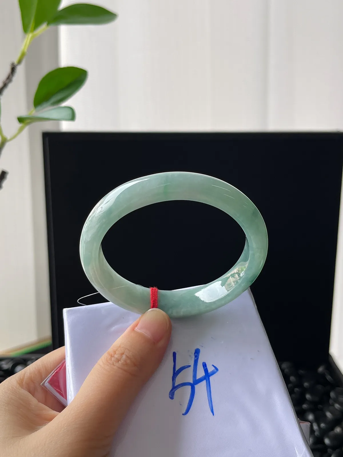 贵妃镯53.8圈口，翡翠糯化种淡绿色手镯
