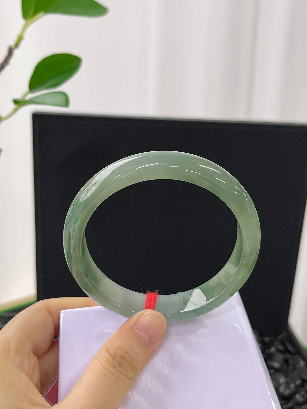 正圈58.4圈口，冰糯种水草绿