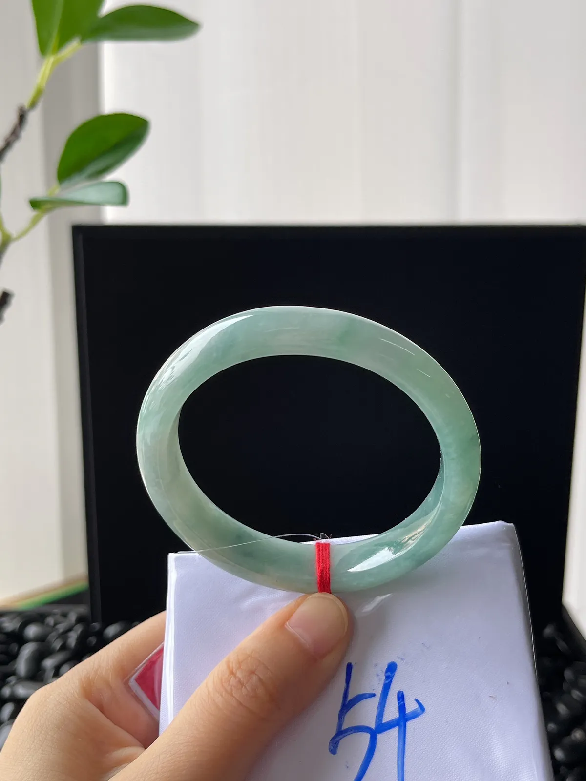 贵妃镯53.8圈口，翡翠糯化种淡绿色手镯