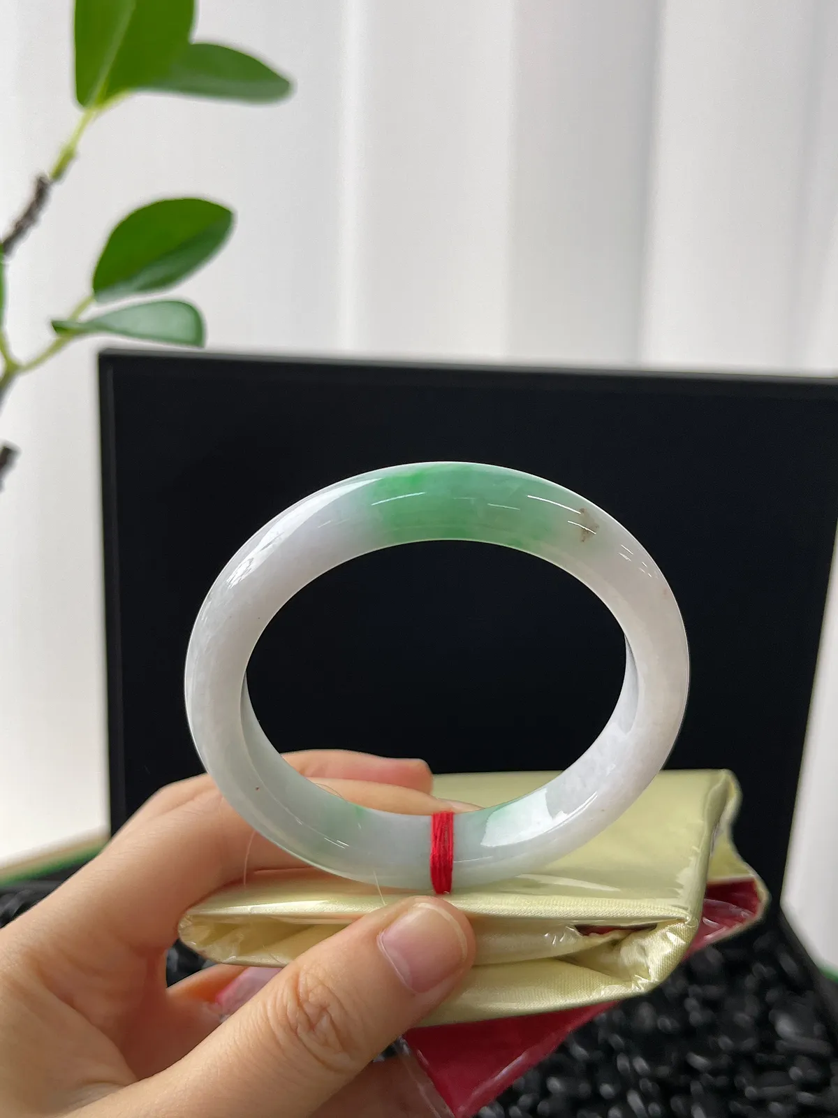 正圈53.7圈口，翡翠糯化种飘花手镯，带洒金