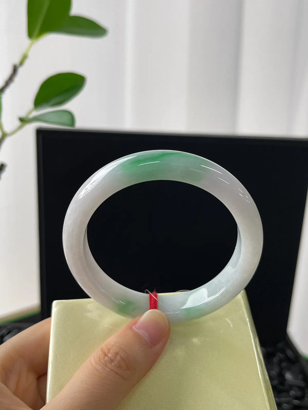 正圈53.7圈口，翡翠糯化种飘花手镯，带洒金