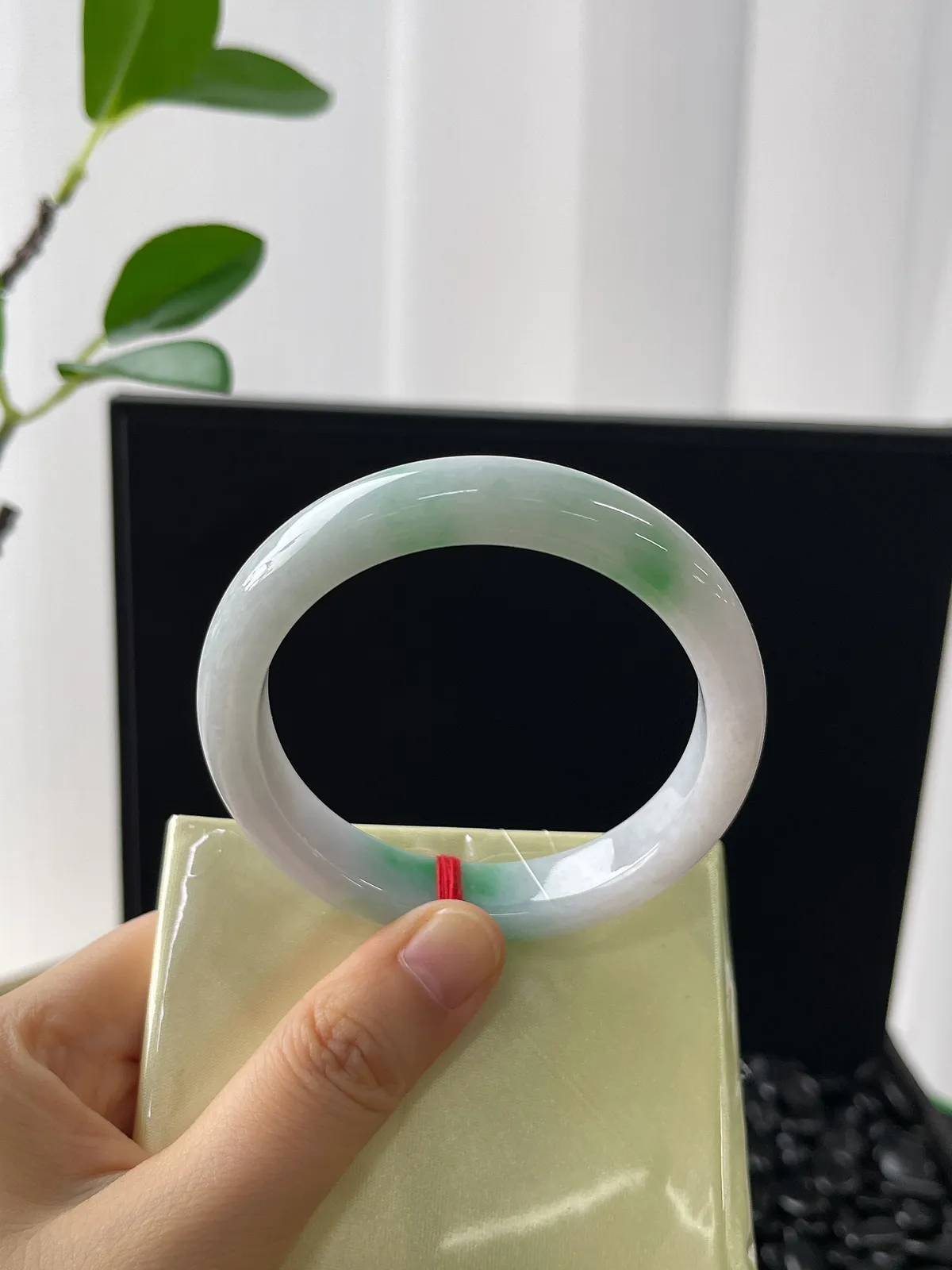 正圈53.7圈口，翡翠糯化种飘花手镯，带洒金