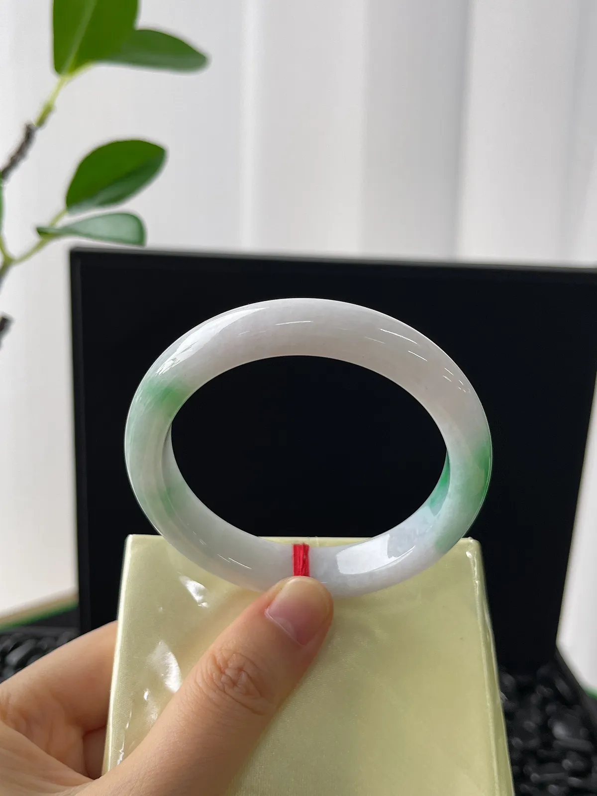 正圈53.7圈口，翡翠糯化种飘花手镯，带洒金