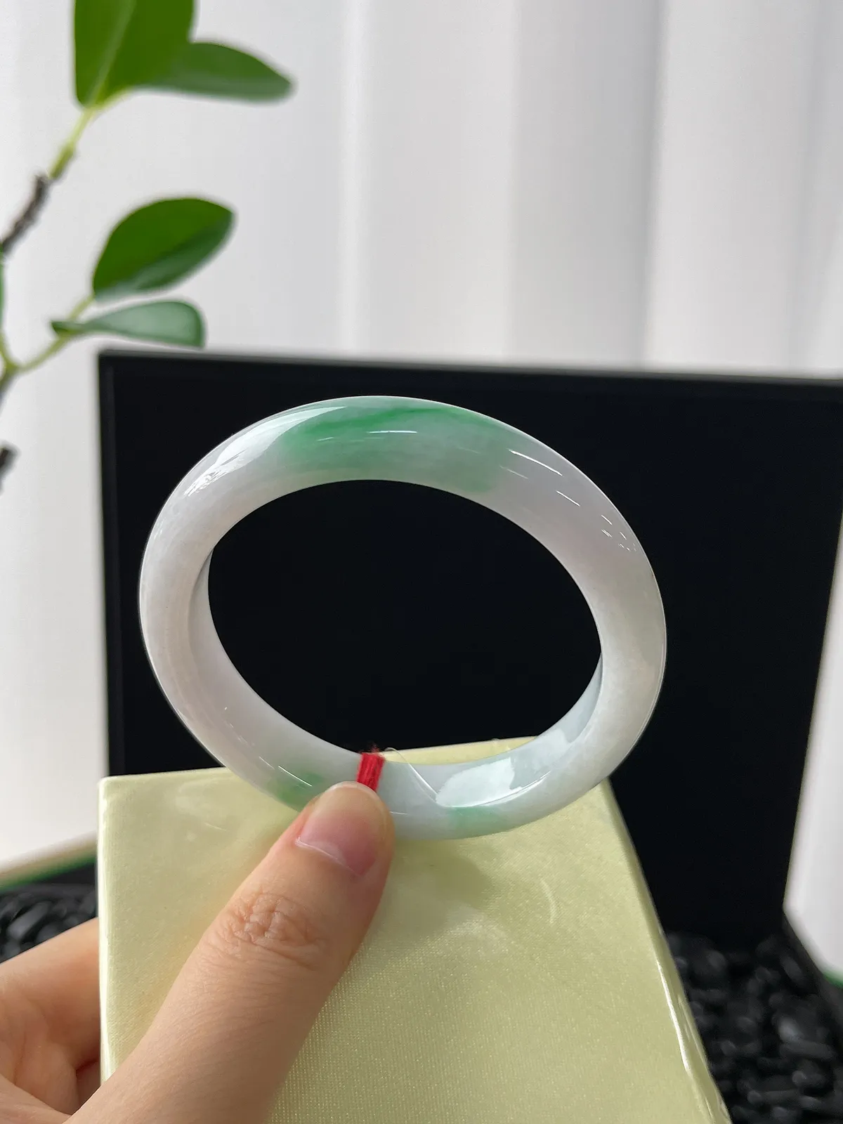 正圈53.7圈口，翡翠糯化种飘花手镯，带洒金