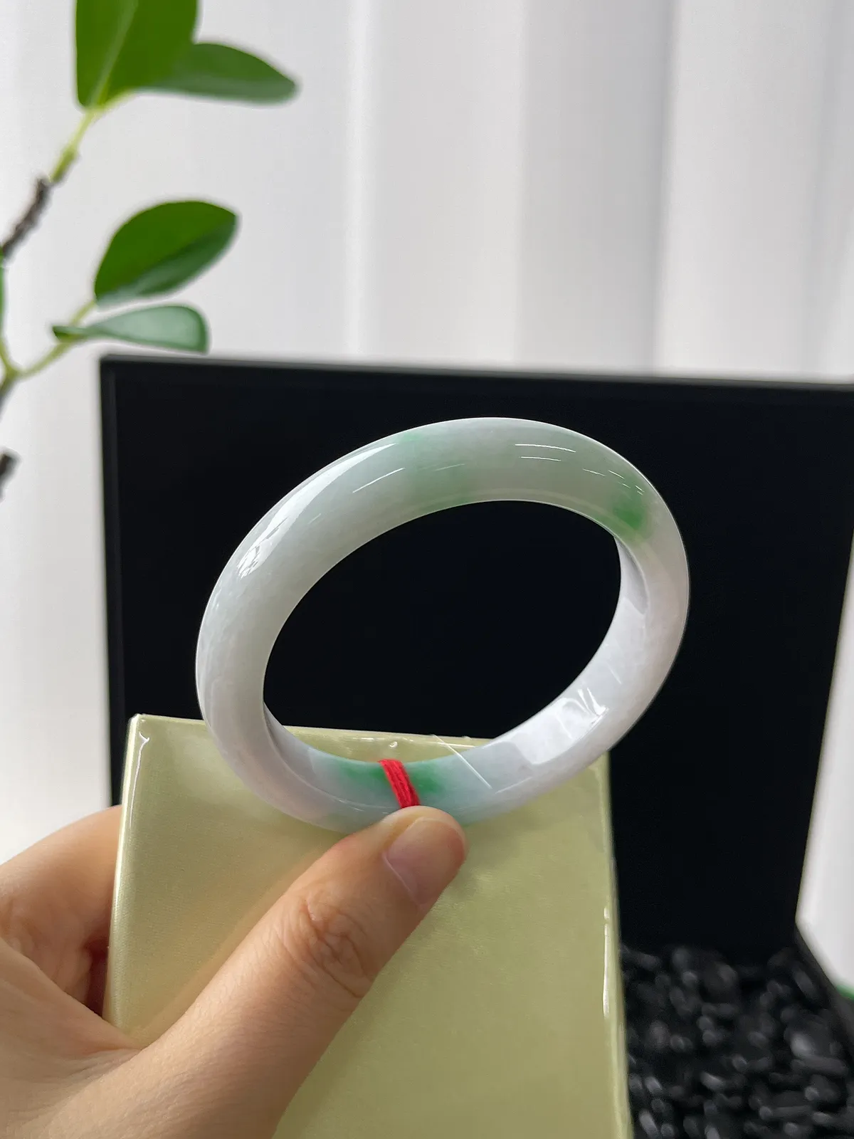 正圈53.7圈口，翡翠糯化种飘花手镯，带洒金