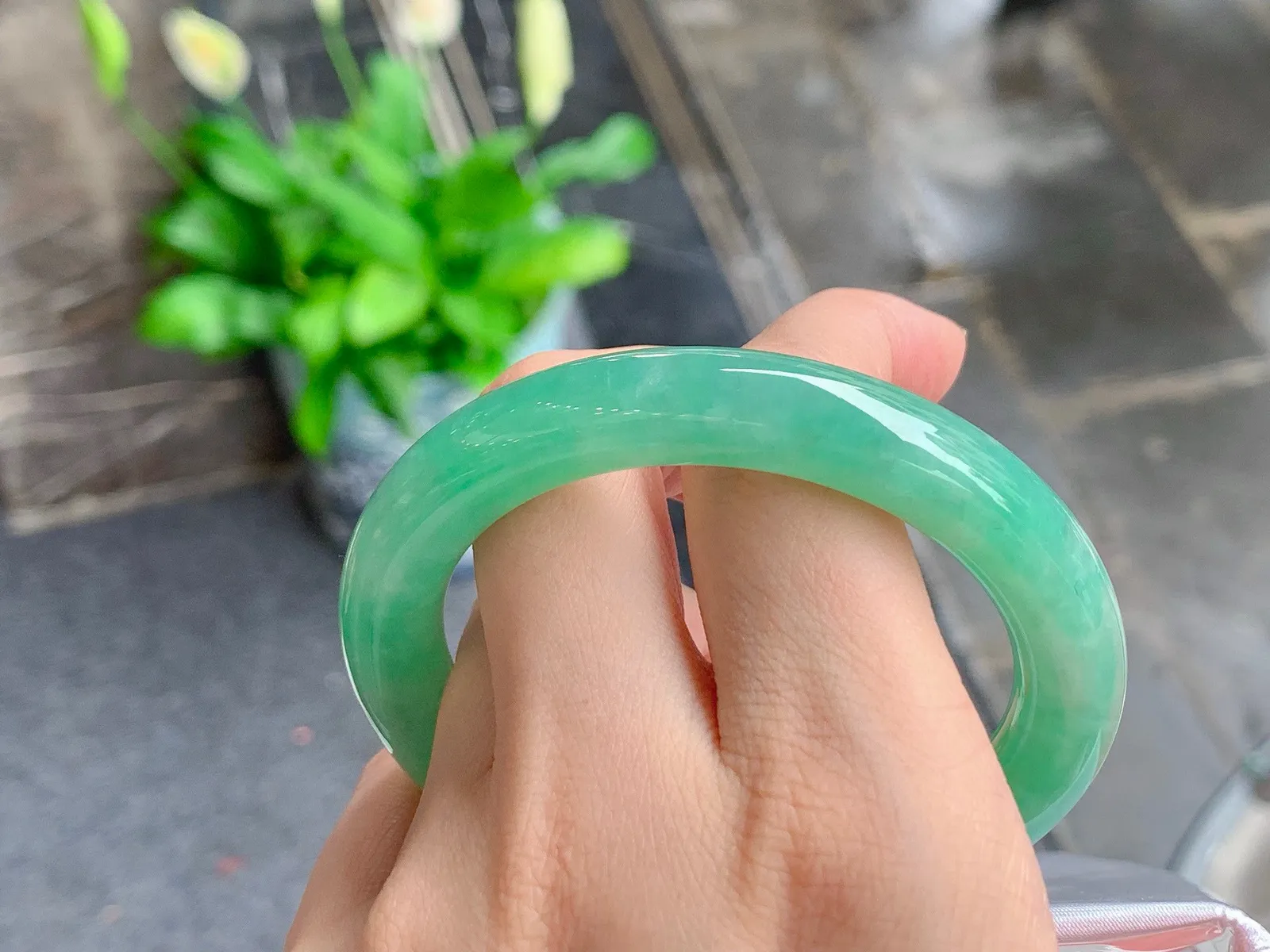 果绿福镯
水润清爽 54.5/9.1mm