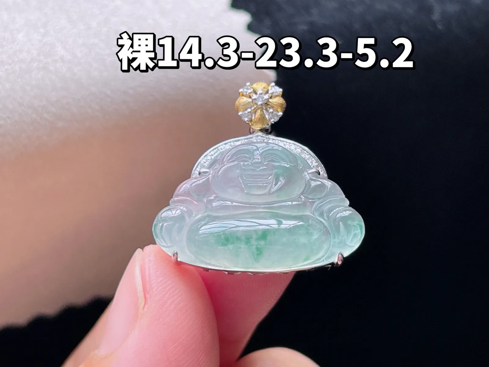 18K 冰种飘花·佛公

裸14.3-23.3-5.2