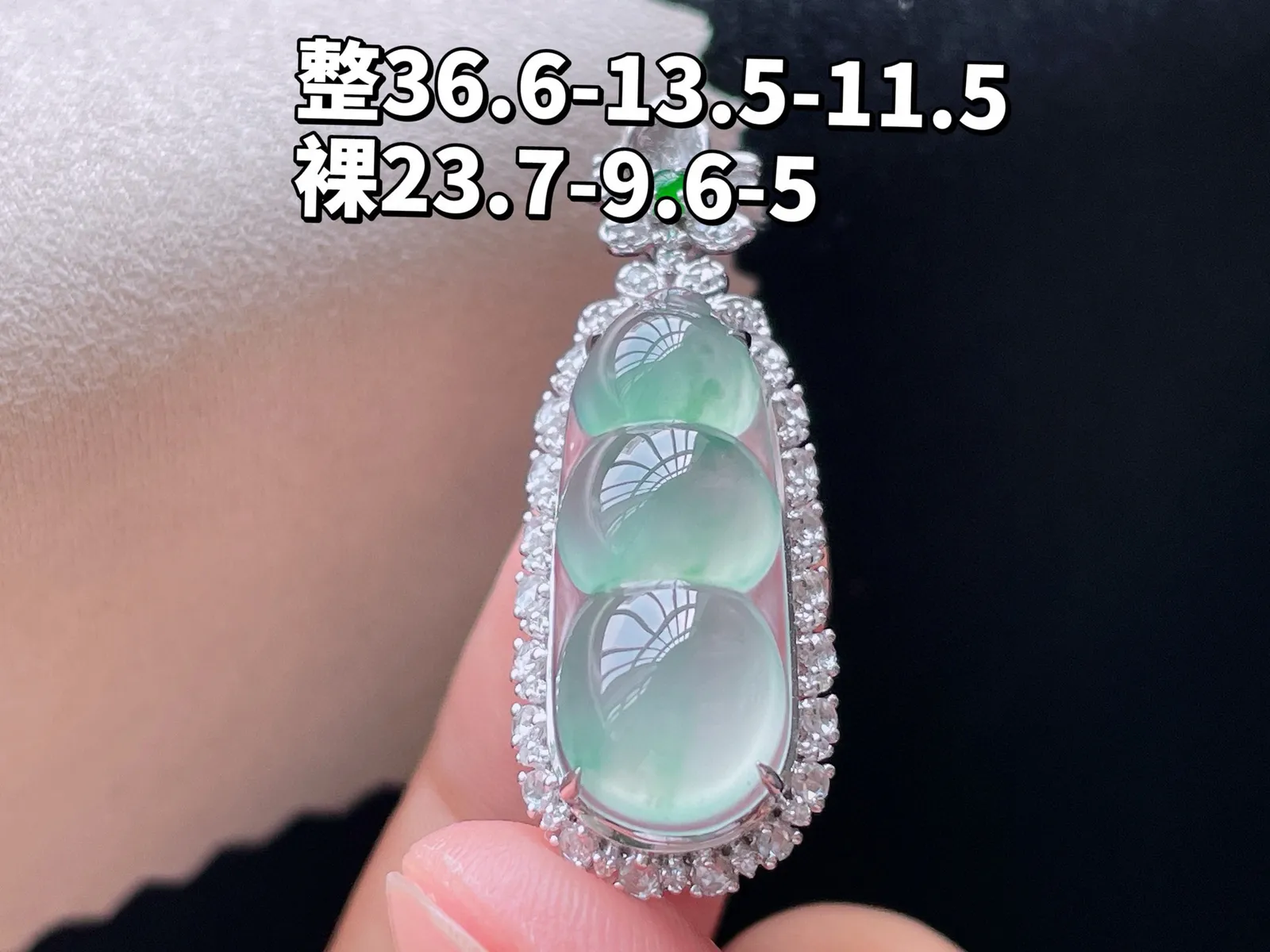18K 冰种飘花·福豆

整36.6-13.5-12.5
裸23.7-9.6-5