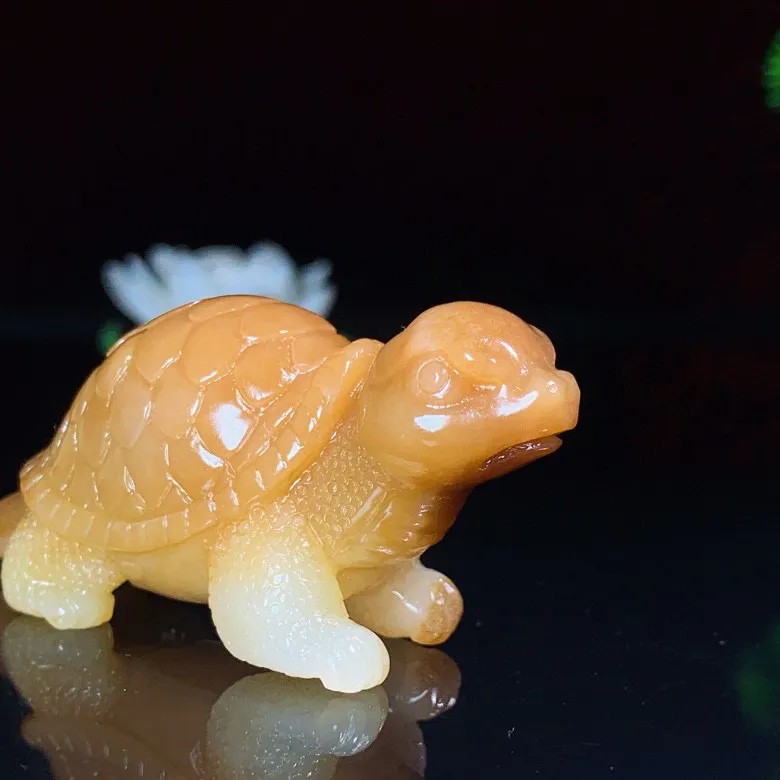 新疆且末糖龙龟富贵长寿把件。尺寸71/30/25重65.8克。玉质细腻油润。手推出油。品相大气。 lt250513