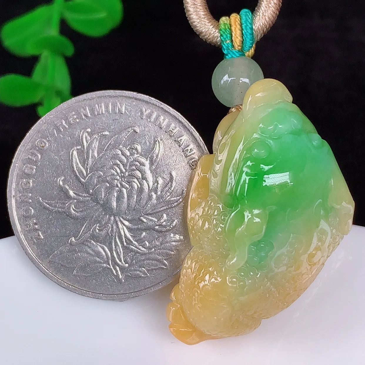 自然光实拍，厚装冰润冰糯种双彩黄加绿翡翠金蟾吊坠，种老水足，翠色灵动，寓意美好，佩戴时尚出众！#00.15