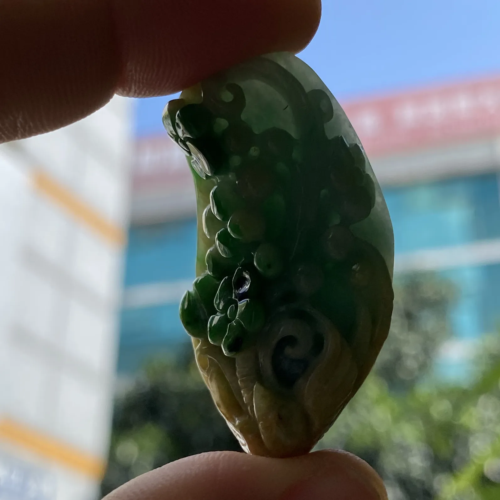 推荐【黄加绿喜上眉梢】黄绿三彩，水润，品相佳，饱满，超值～～