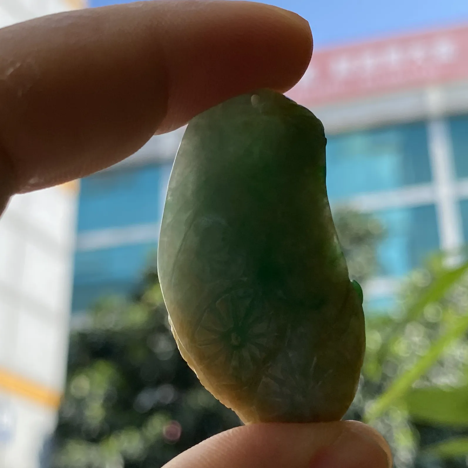 推荐【黄加绿喜上眉梢】黄绿三彩，水润，品相佳，饱满，超值～～