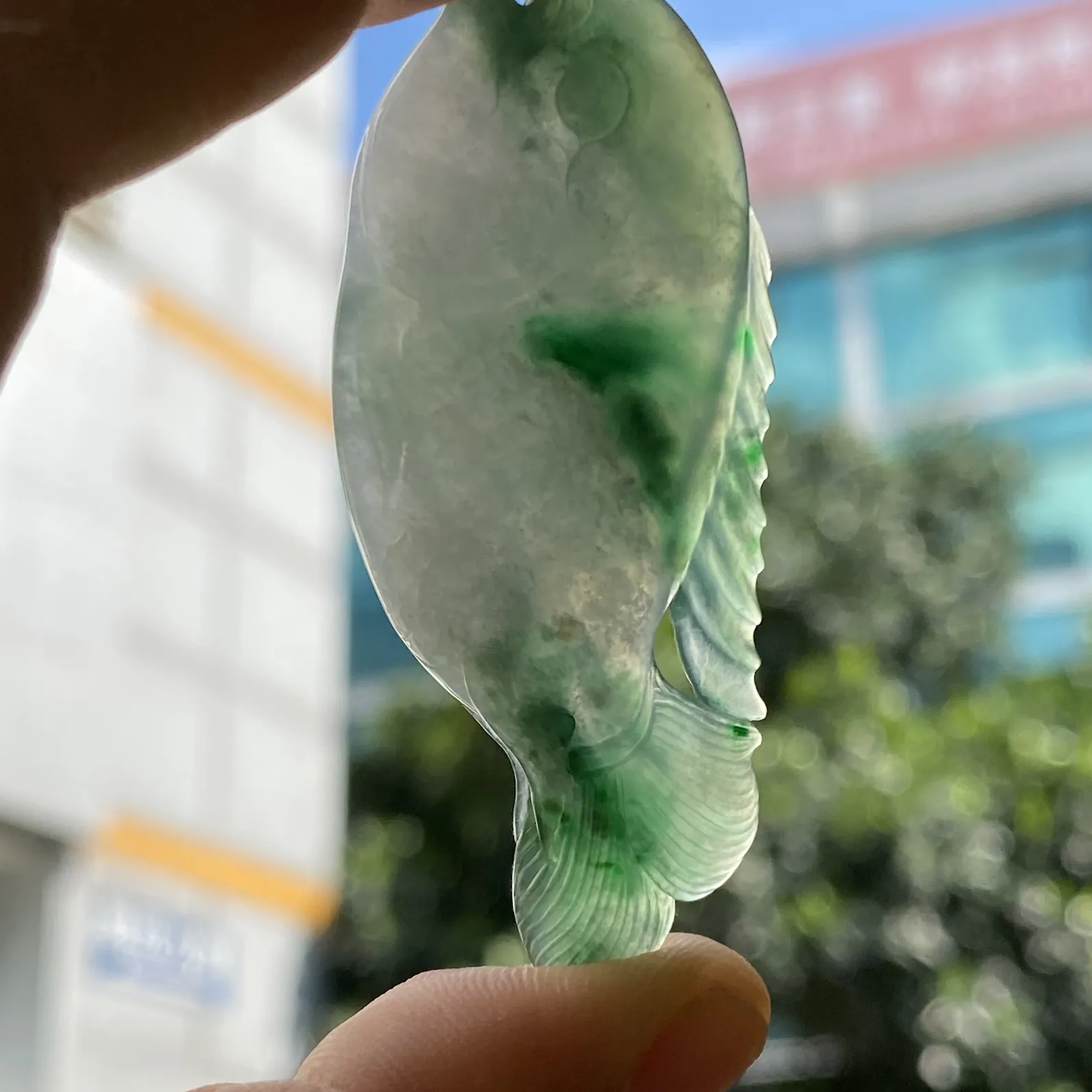 推荐【飘绿鲤鱼】金玉满堂，年年有余，无纹裂，60*24*7.5