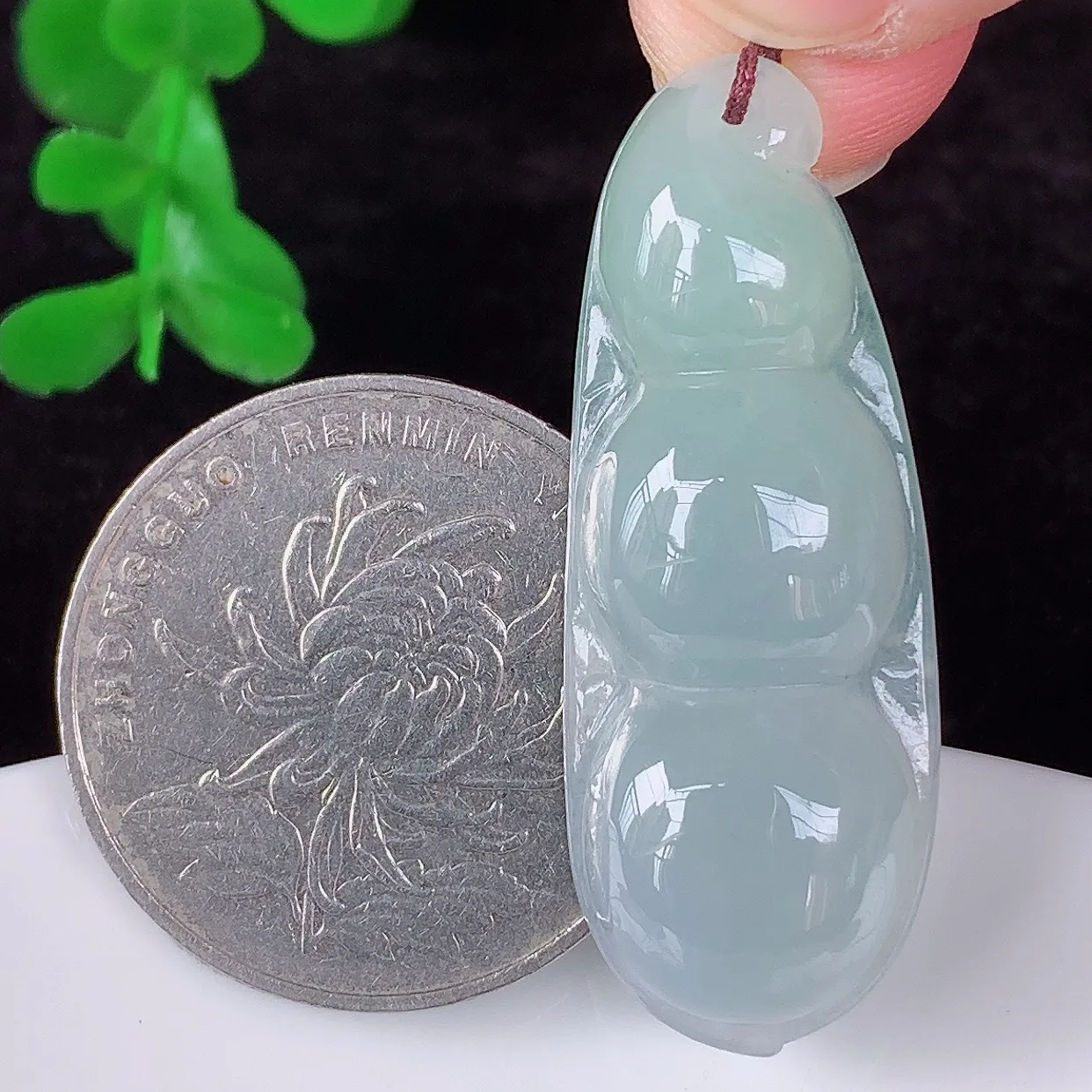 自然光实拍，冰润冰种翡翠四季豆吊坠，平安豆福豆玉坠，冰润通透，豆粒饱满，寓意：豆蔻年华！#46.20