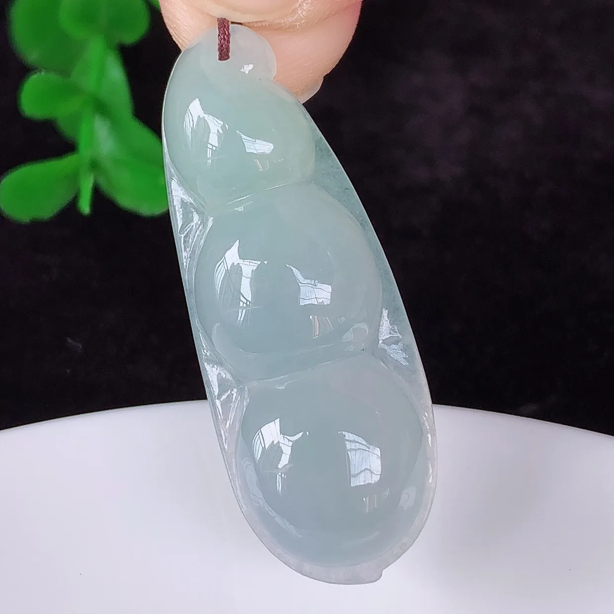 自然光实拍，冰润冰种翡翠四季豆吊坠，平安豆福豆玉坠，冰润通透，豆粒饱满，寓意：豆蔻年华！#46.20