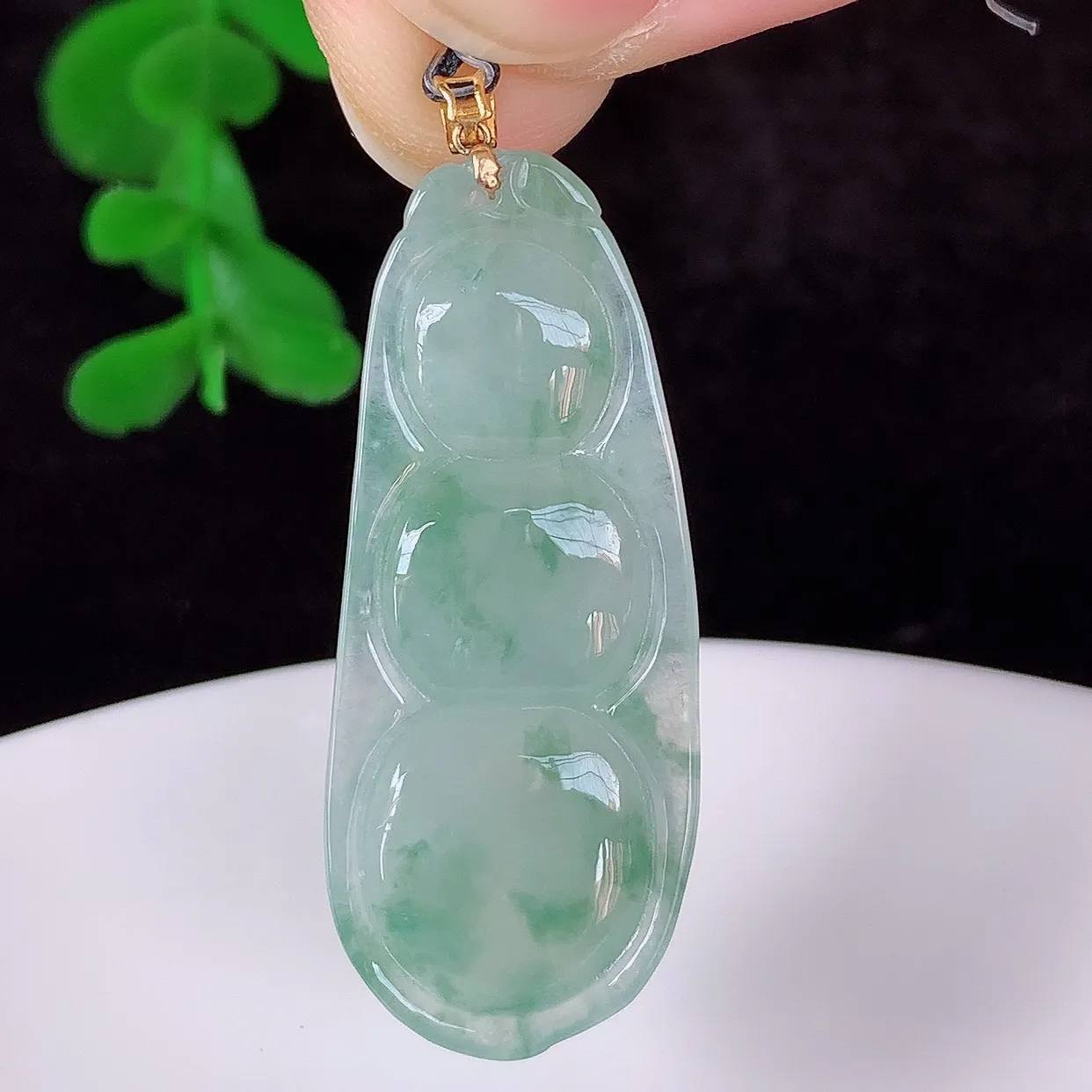 自然光实拍，18K金镶嵌冰飘花翡翠四季豆吊坠，平安豆福豆玉坠，冰润通透，豆粒饱满，寓意：豆蔻年华！#49.20