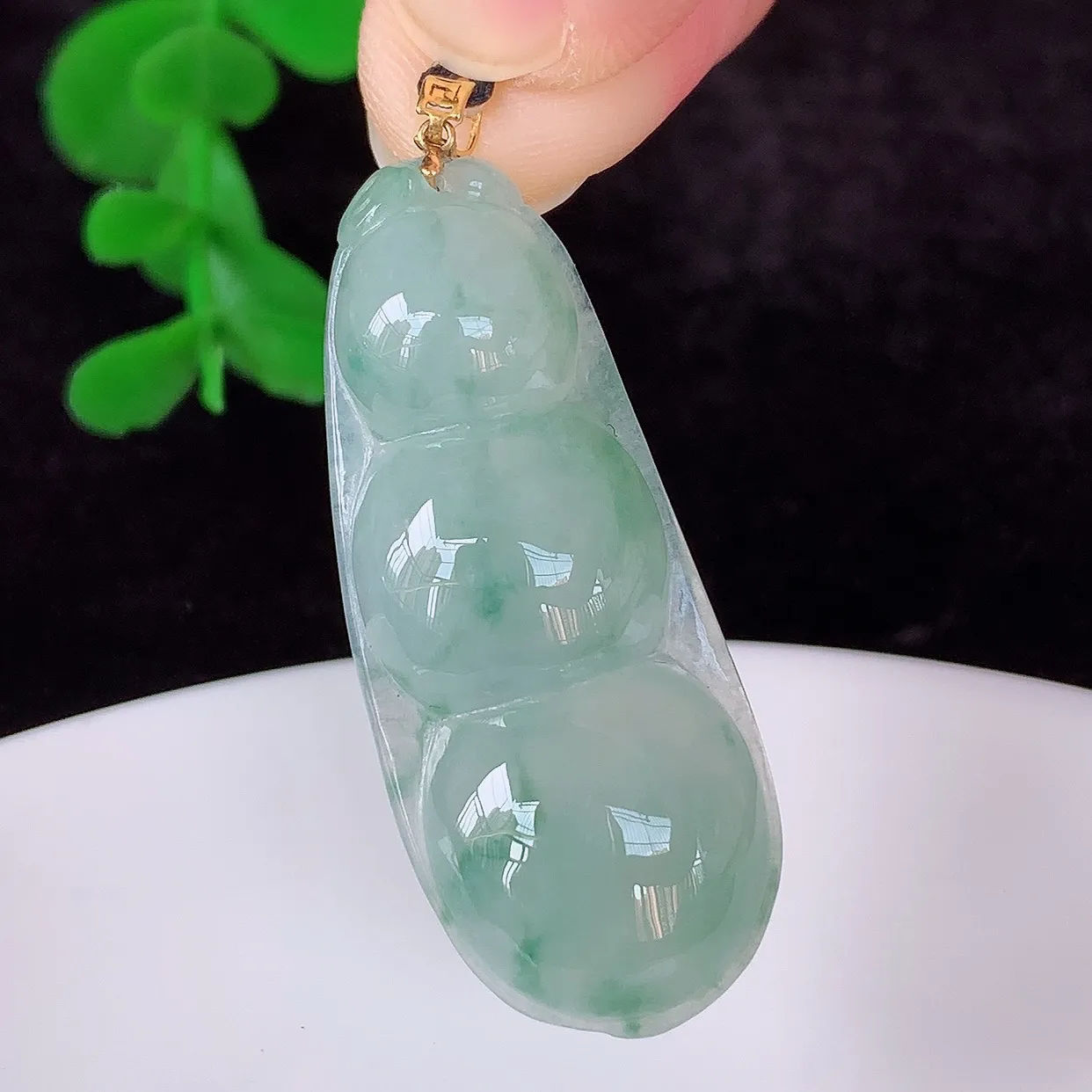 自然光实拍，18K金镶嵌冰飘花翡翠四季豆吊坠，平安豆福豆玉坠，冰润通透，豆粒饱满，寓意：豆蔻年华！#