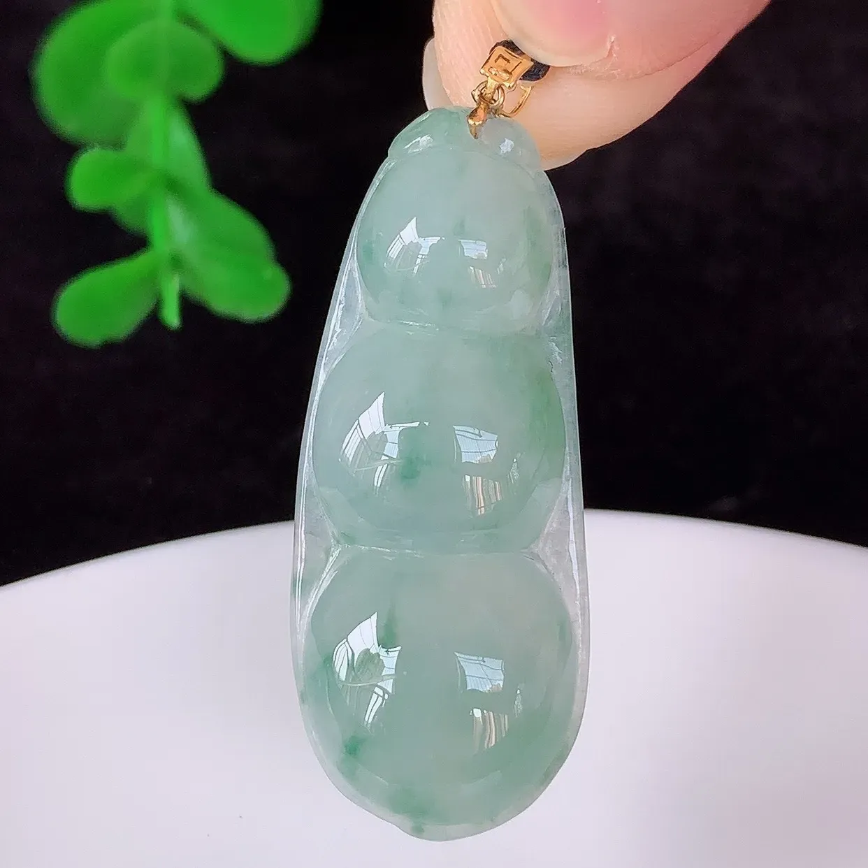 自然光实拍，18K金镶嵌冰飘花翡翠四季豆吊坠，平安豆福豆玉坠，冰润通透，豆粒饱满，寓意：豆蔻年华！#49.20