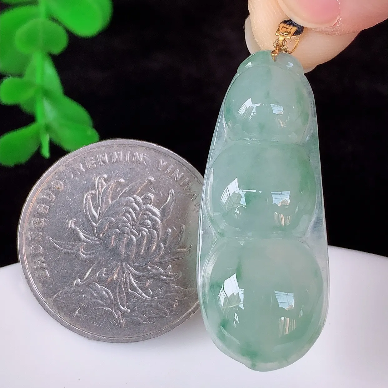 自然光实拍，18K金镶嵌冰飘花翡翠四季豆吊坠，平安豆福豆玉坠，冰润通透，豆粒饱满，寓意：豆蔻年华！#49.20