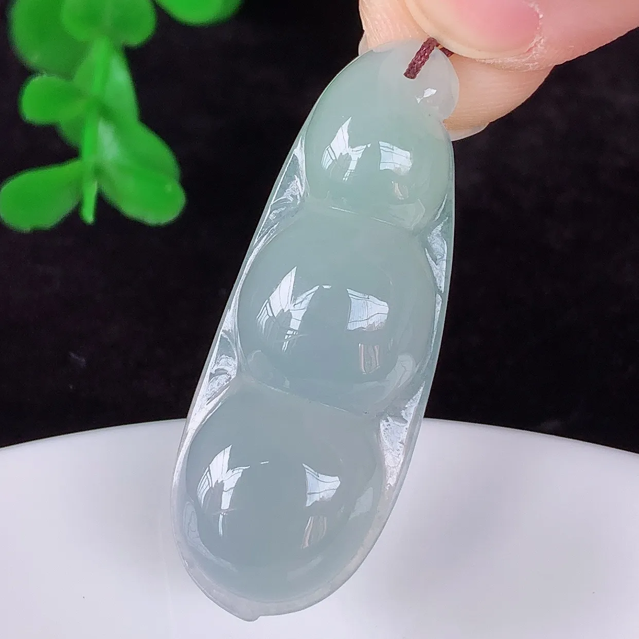 自然光实拍，冰润冰种翡翠四季豆吊坠，平安豆福豆玉坠，冰润通透，豆粒饱满，寓意：豆蔻年华！#46.20