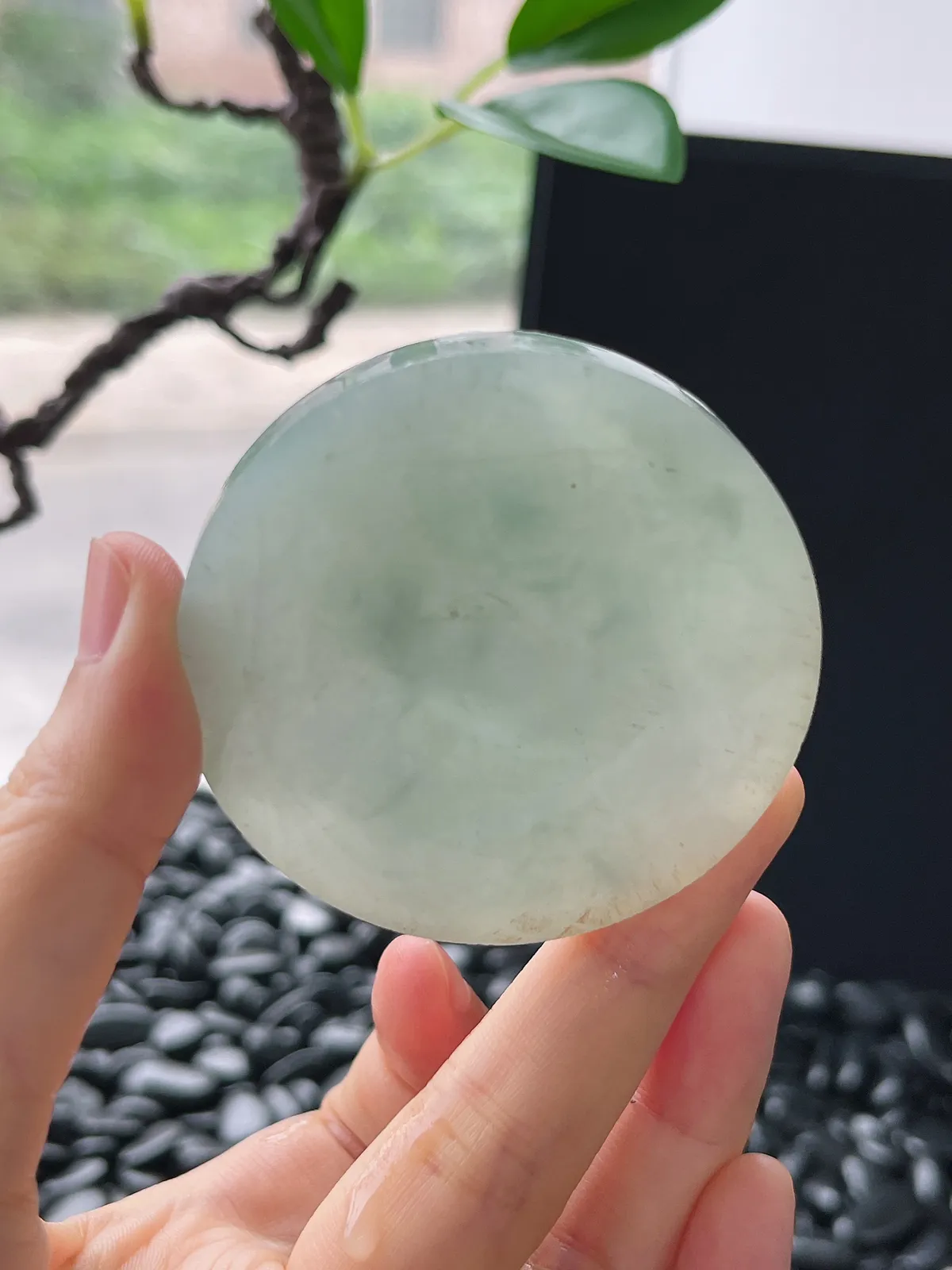 翡翠镯心