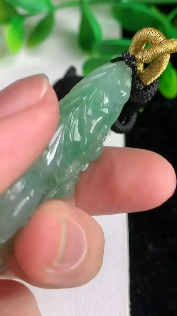 天然A货翡翠白菜吊坠，尺寸53.4-27-12.5，重:23.92g
6月8日