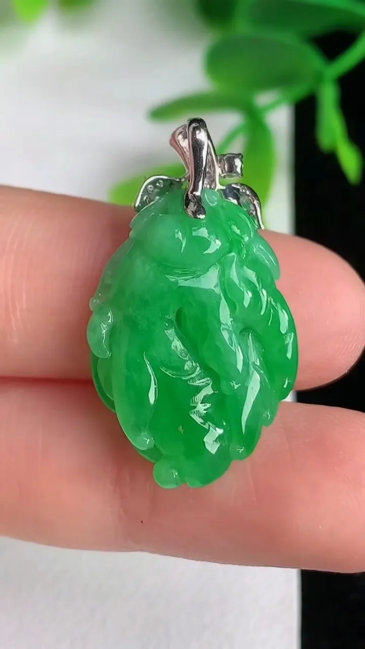 天然A货翡翠佛手瓜吊坠，尺寸24-17-6，重量:4.30g
6月9日
