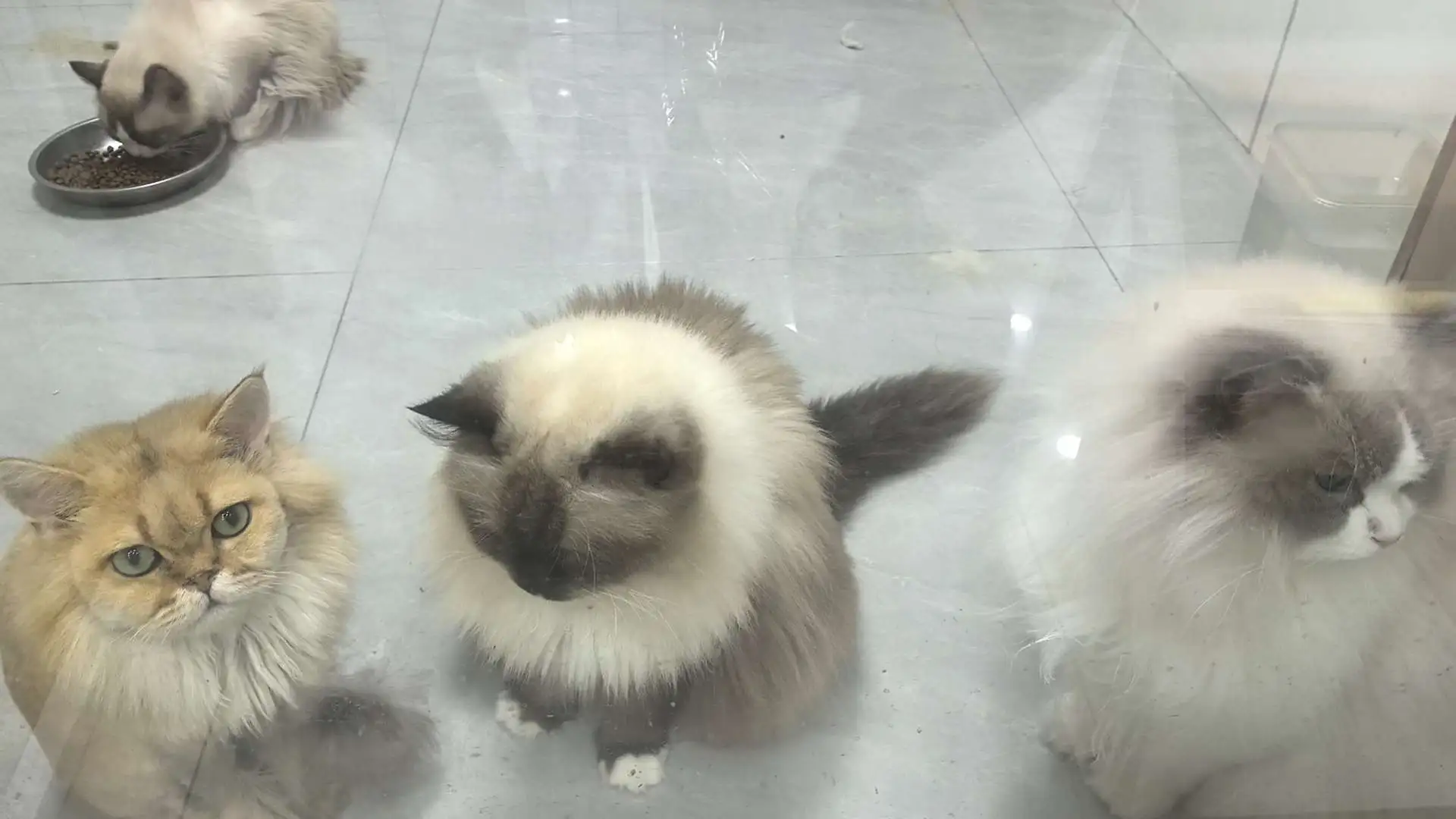 测试测试结果是你们