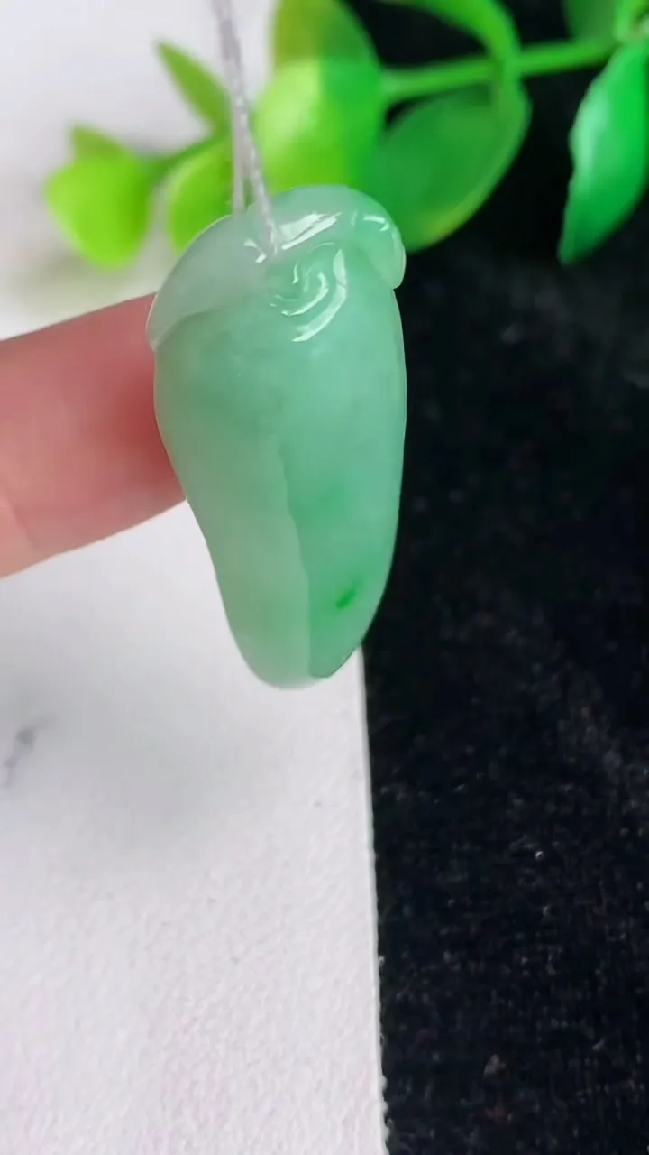 天然A货翡翠福瓜吊坠，尺寸37.7-14.6-8，重量:7.87g
6月17日