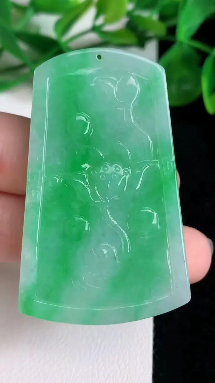 天然A货翡翠鸟语花香吊坠，尺寸54.4-33.7-5.7，重量:22.24g
6月22日