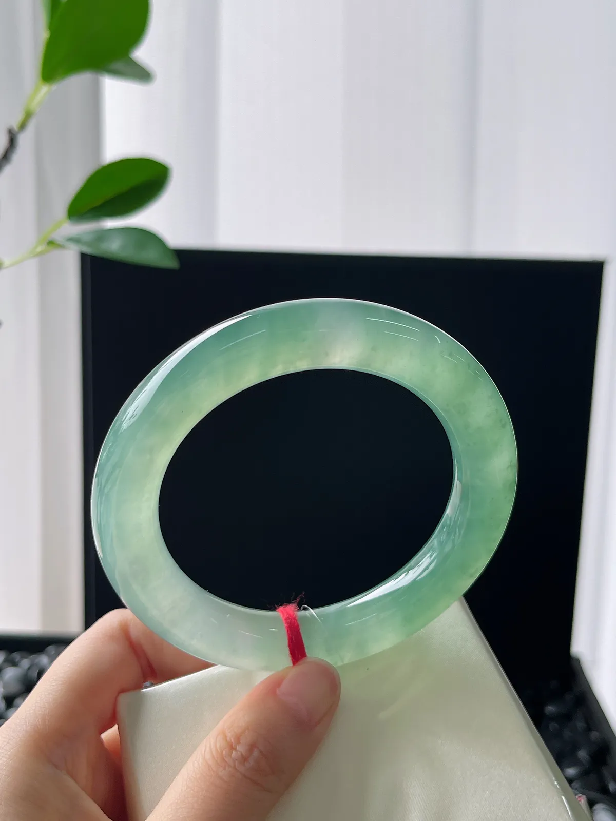 翡翠冰绿圆条