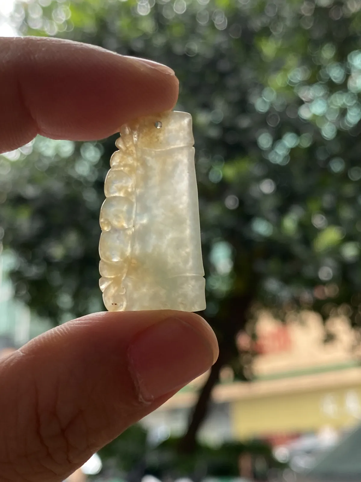 推荐【冰黄竹节】节节高升，无纹裂，小棉，冰透，起胶，起光，鸡油黄，超值～～31*16.2*4.8