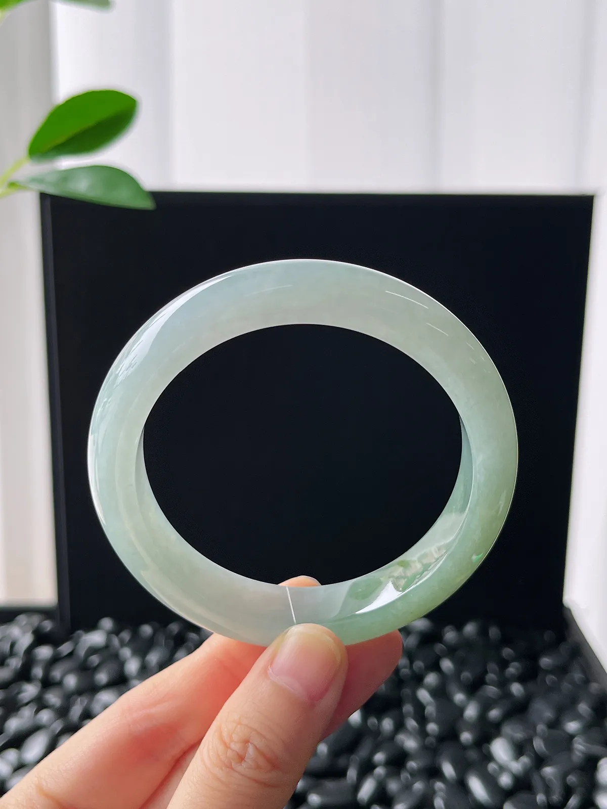 正圈56.3圈口，翡翠飘黄翡手镯