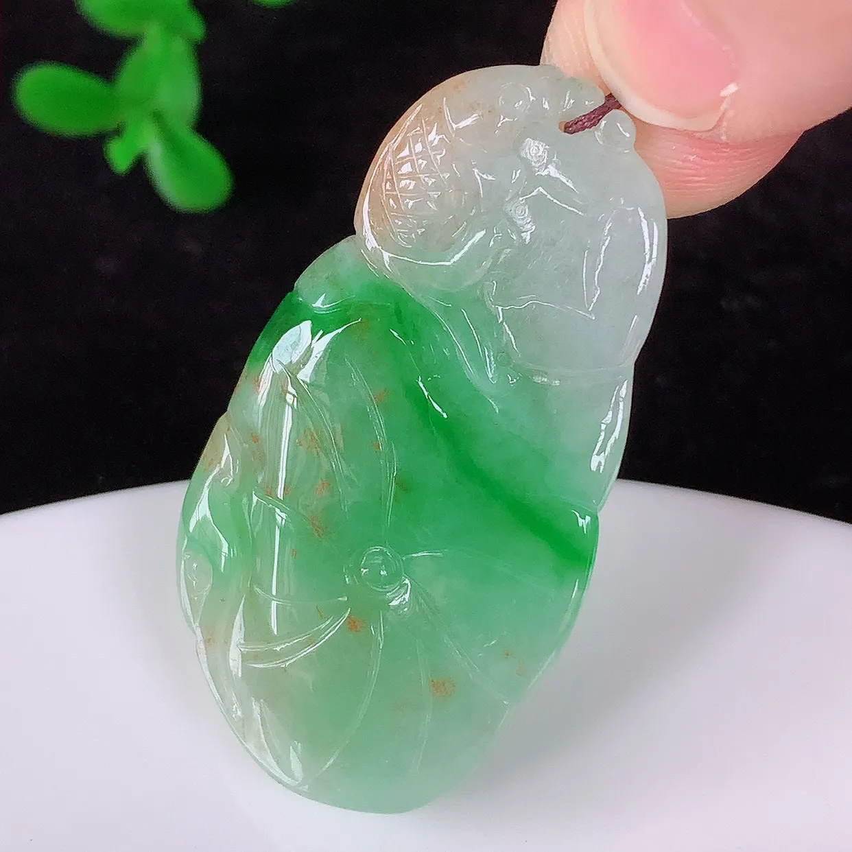 自然光实拍，冰糯种双彩飘阳绿翡翠荷叶鱼、和和美美玉坠，财源广进，自然隐逸、荷本是素不着尘之物，有和美