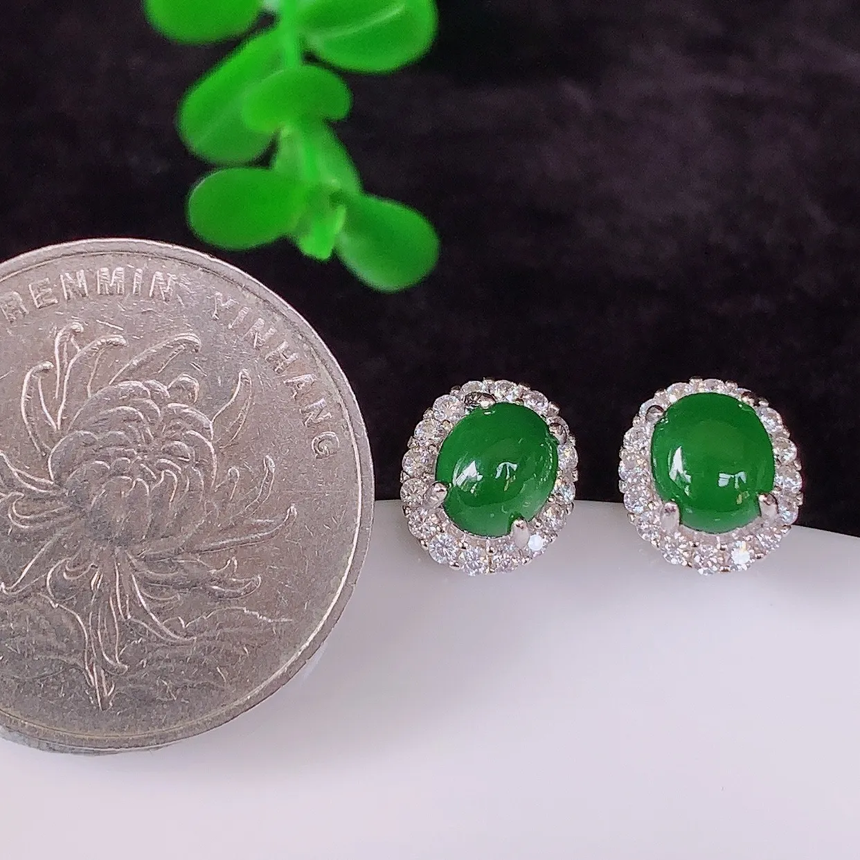 冰透满绿翡翠925银镶嵌蛋面耳钉，自然光实拍，翠色灵动，颜色漂亮 种老水足，品相佳，佩戴佳品！#96.7整体10.5*9*18.8裸石6.6*5.5