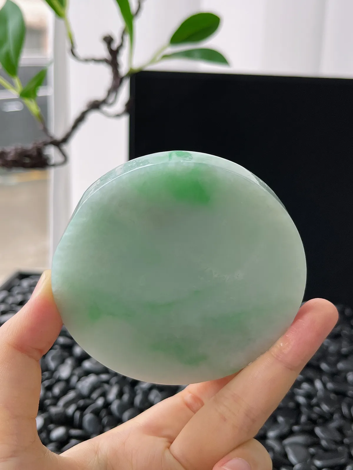 翡翠飘绿镯饼，⭕️正圈最大做59，圆条最大做55