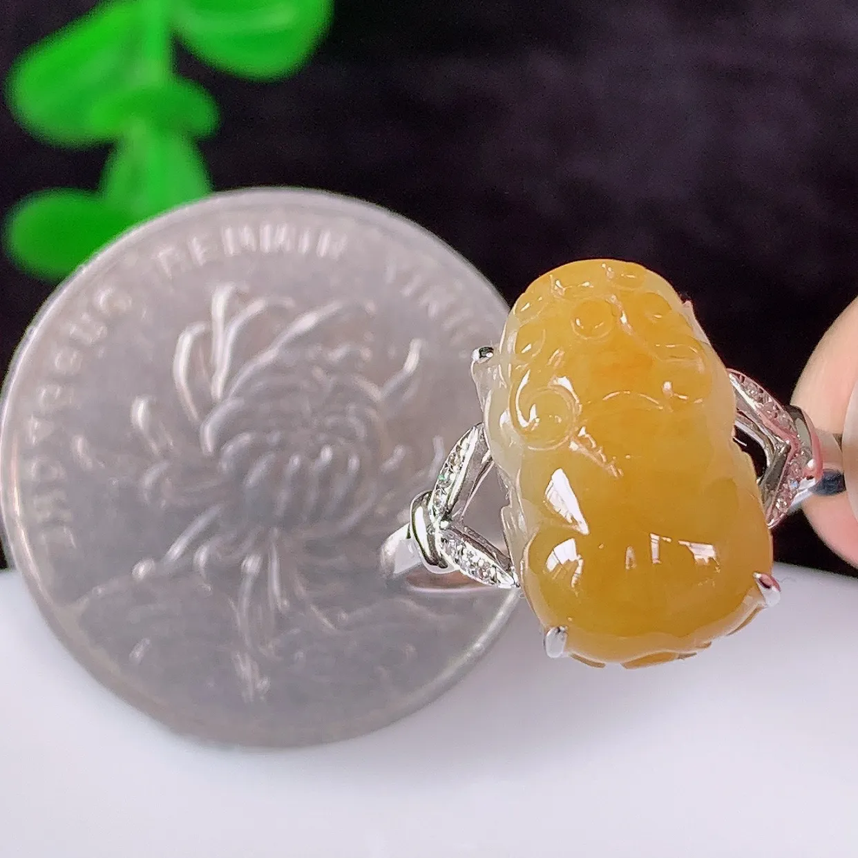 自然光实拍 18K金精工镶嵌冰黄翡翡翠貔貅戒指，玉质细腻，翡翠色泽均匀，艳丽饱满，款式高贵大气，14圈口，上手亮眼，#83.10内径17.8*戒指整体25*7.5裸石14*9