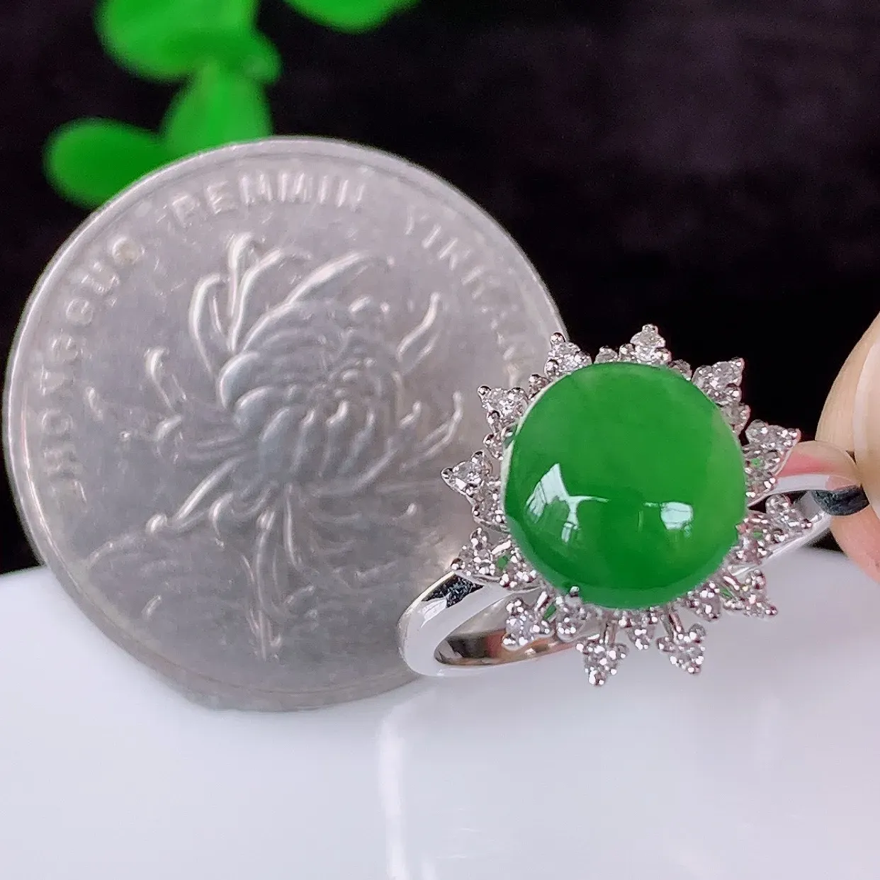 自然光实拍 18K金精工镶嵌冰种满绿翡翠蛋面戒指，玉质细腻，翡翠色泽均匀，艳丽饱满，款式高贵大气，13圈口，上手亮眼，#83.14内径18*戒指整体25.5*8裸石8.8*8.5