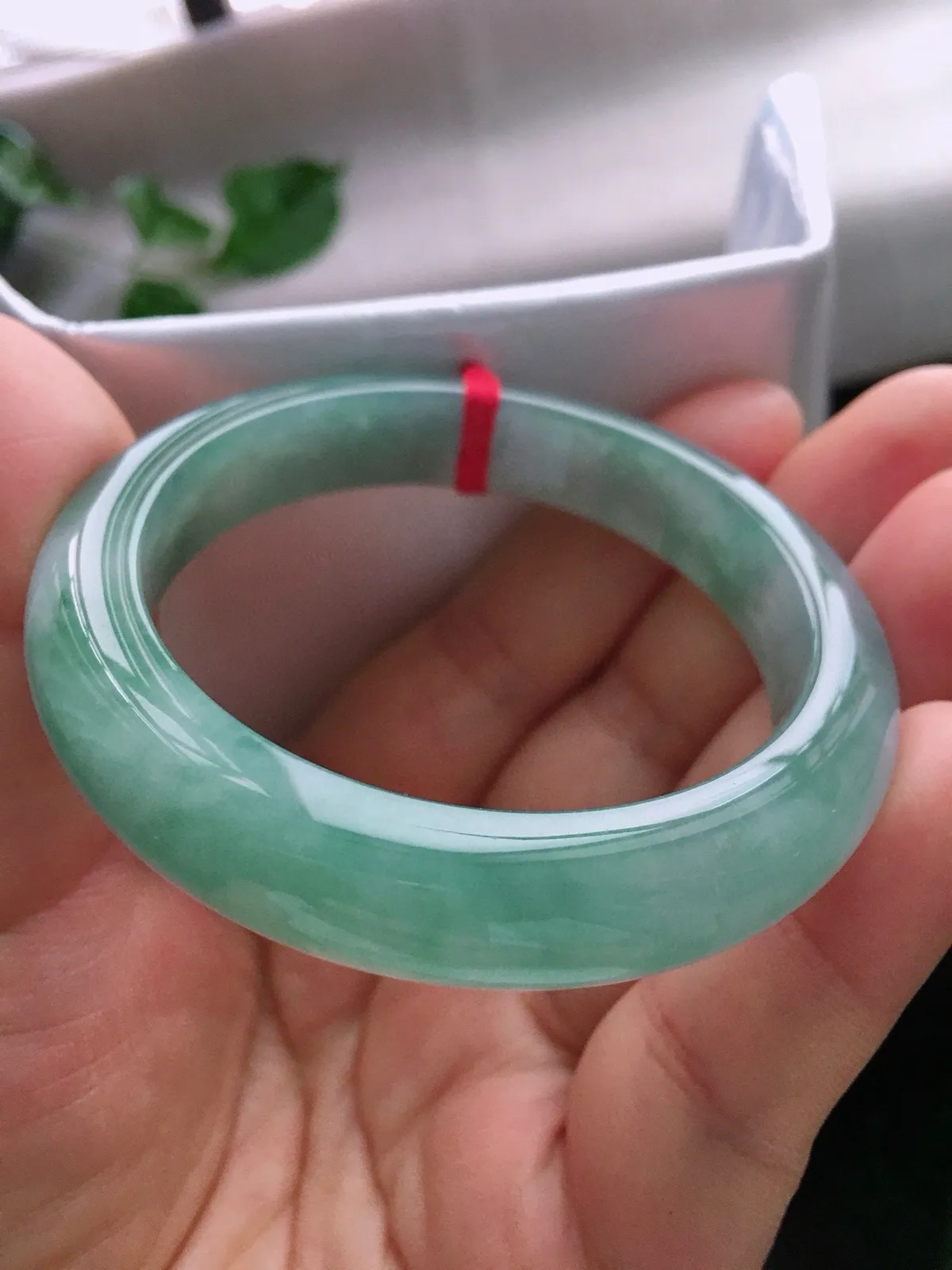 圈口55，正圈手镯，油绿，玉质冰润细腻，尺寸55-12.3-8.4mm