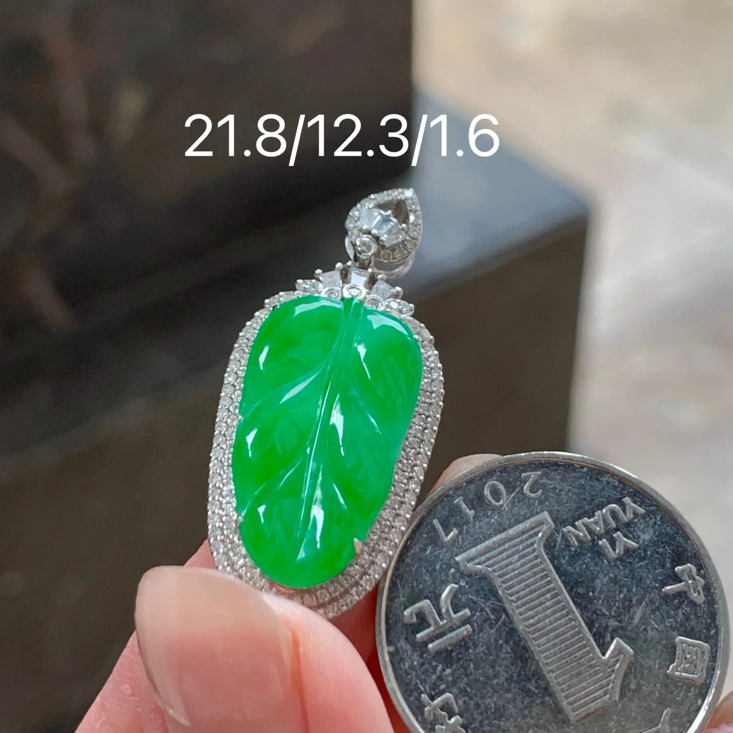 阳绿玉叶
真金镶嵌 精致