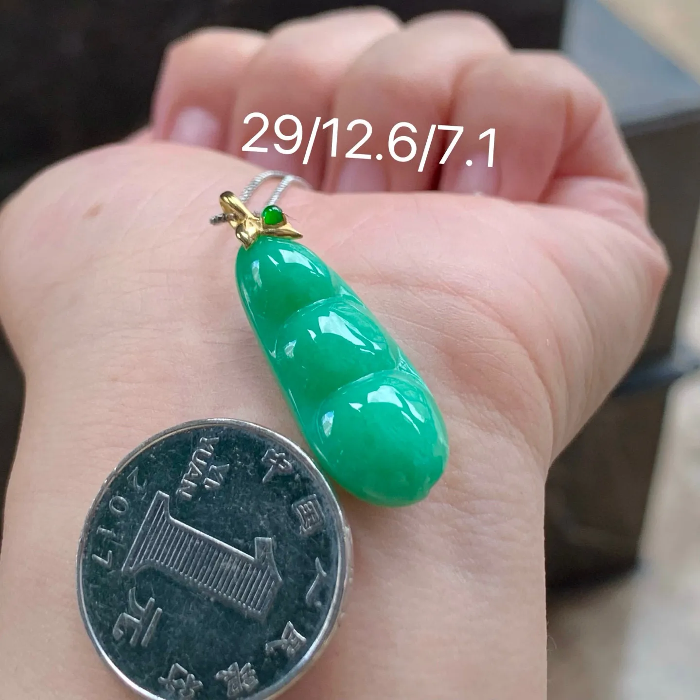 满色福豆
金扣