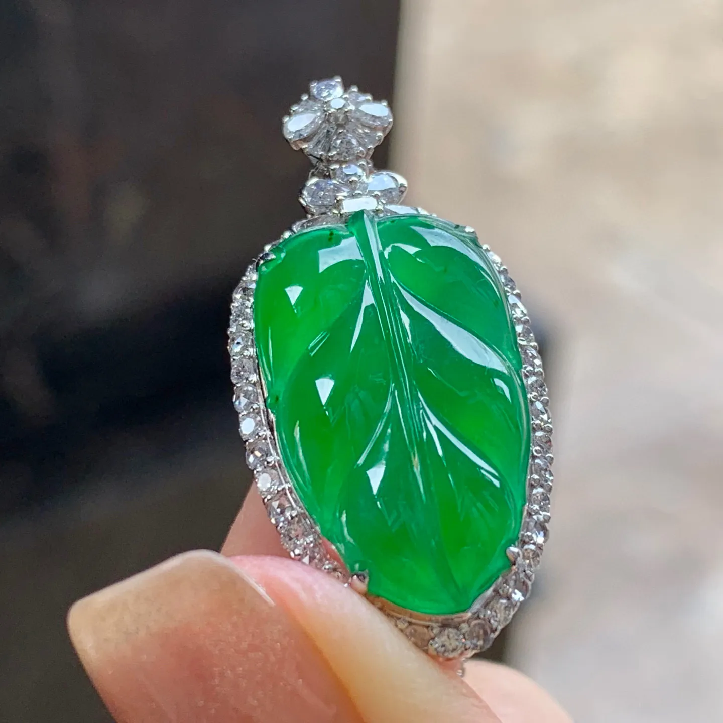 满色叶子
金枝玉叶～
