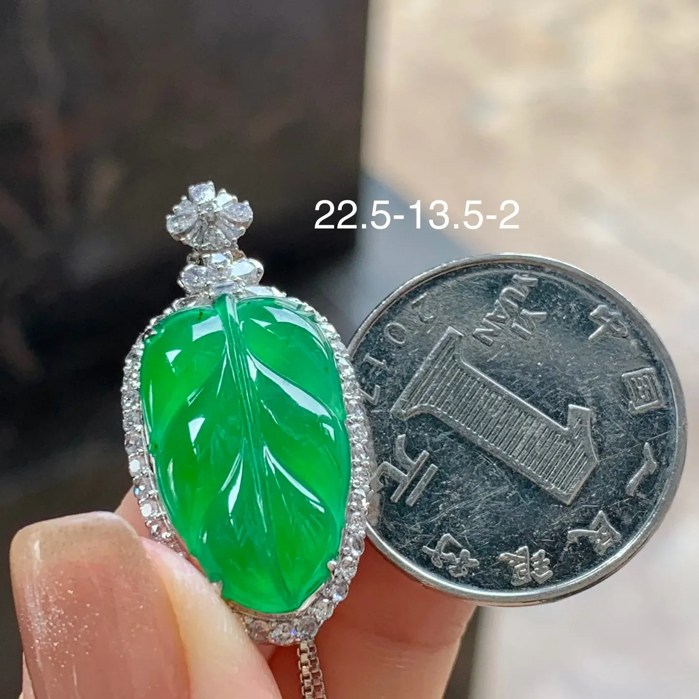 满色叶子
金枝玉叶～