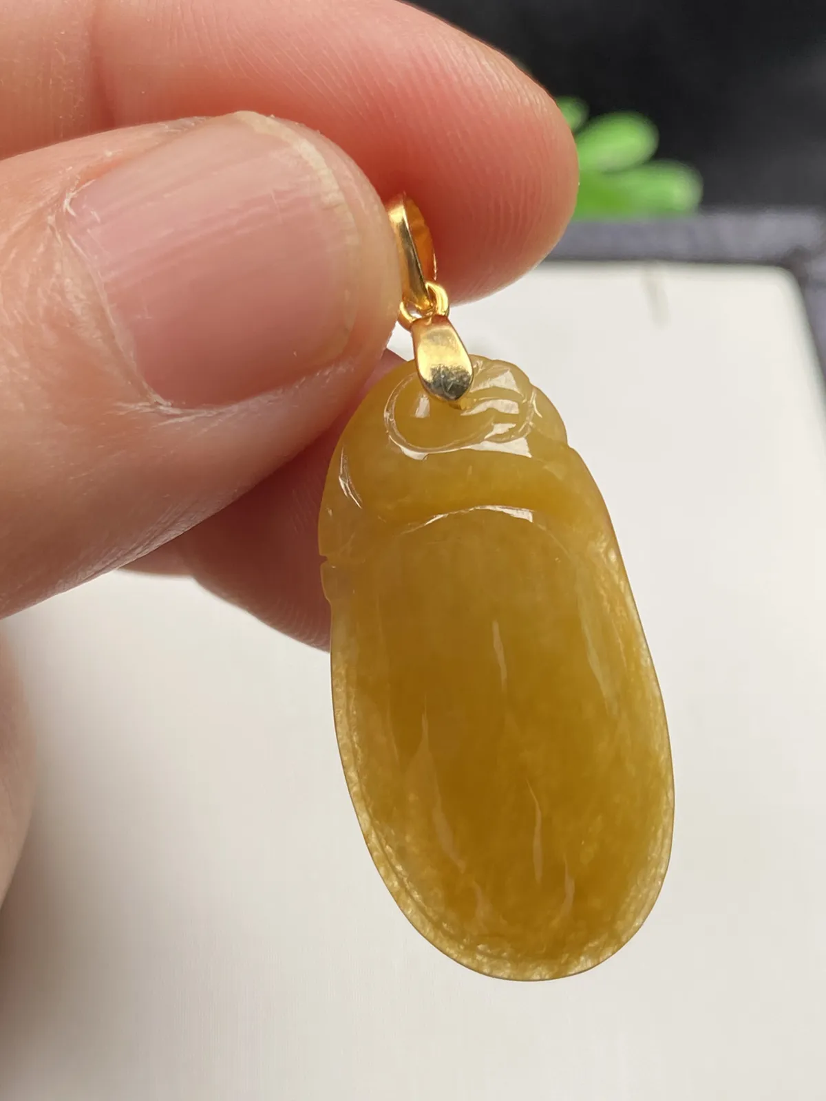 推荐【冰🧊黄龙头贝】黄翡福贝的作用与黄翡貔貅一样，贝在古代就是钱币，寓意辈辈有钱财源滚滚，黄翡也招财，无纹裂，水润，细腻，种老，品相佳，带银扣，超有性价比～～石头尺寸30.6*15.8*4.6