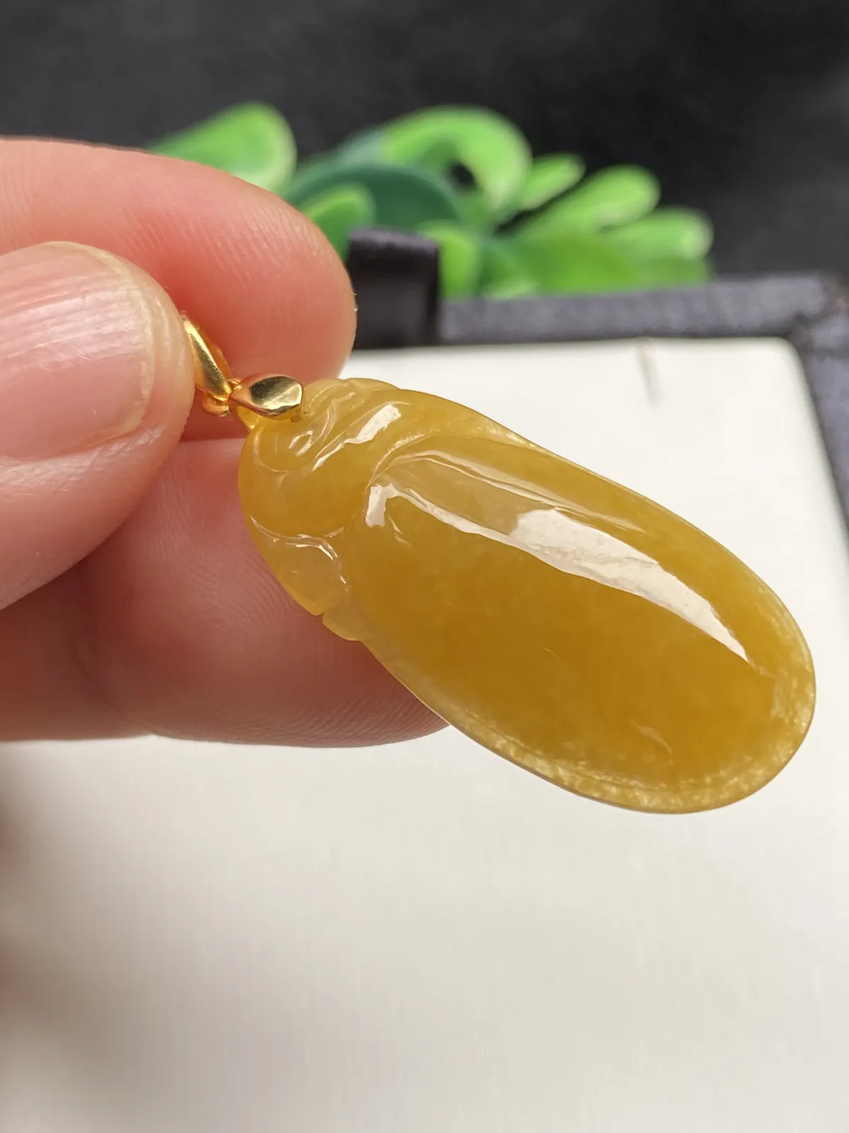 推荐【冰🧊黄龙头贝】贝在古代就是钱币寓意贝贝有钱财源滚滚，鸡油黄，无纹裂，水润，细腻，种老，品相