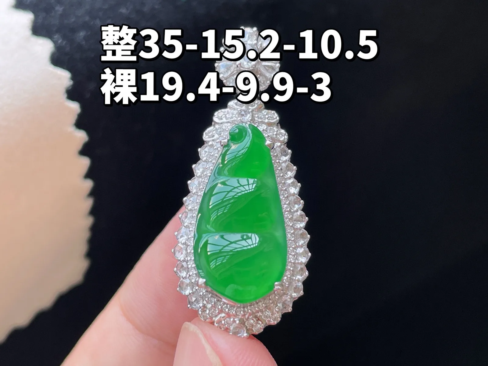 18K 满色·福豆

整35-15.2-10.5
裸19.4-9.9-3