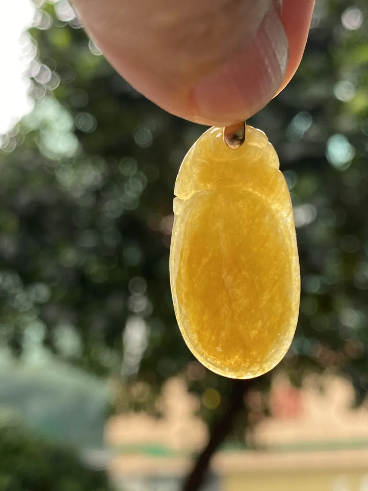 推荐【冰🧊黄龙头贝】黄翡福贝的作用与黄翡貔貅一样，贝在古代就是钱币，寓意辈辈有钱财源滚滚，黄翡也招财，无纹裂，水润，细腻，种老，品相佳，带银扣，超有性价比～～石头尺寸30.6*15.8*4.6